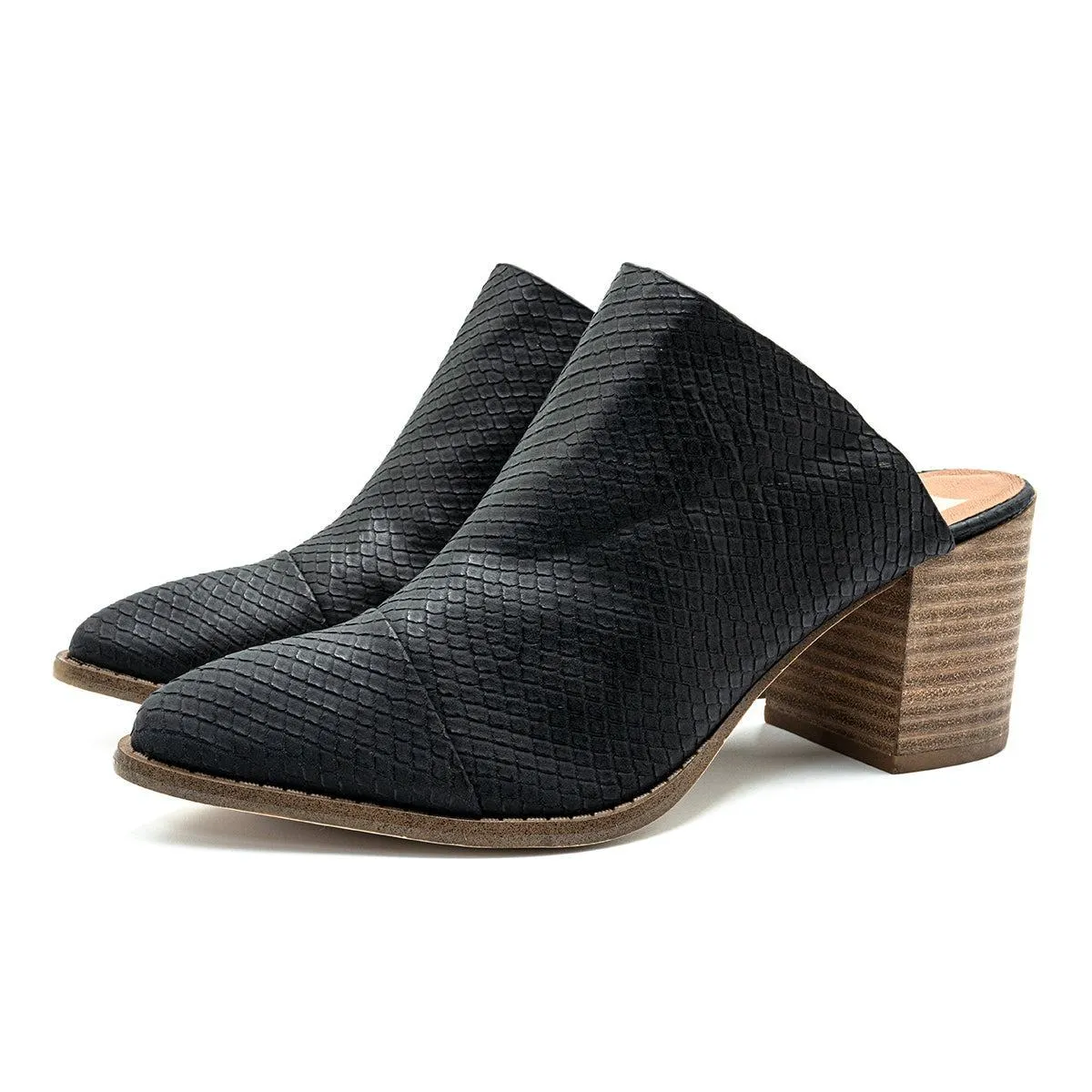 Dolce Vita Mule Mules Leather Black Colour For Women